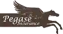 Ogalo a choisi Pegase Insurance comme partenaire pour l'assurance valeur cheval