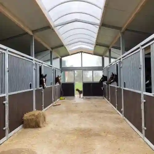 Barn de boxes en bois avec allée centrale