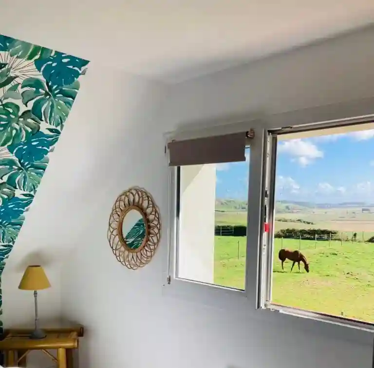Vue sur les paddocks depuis le gîte