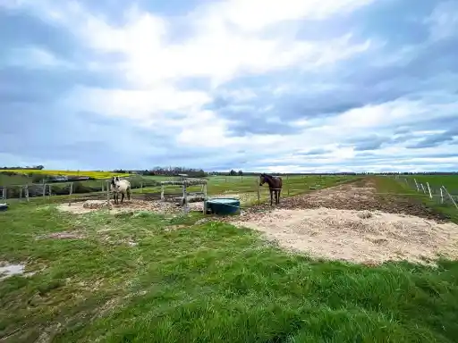 Paddock en herbe sans abris.