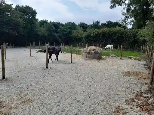 Paddock en sable avec abris