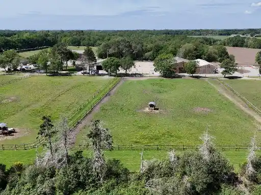 Grands paddocks en herbe
