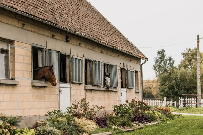 Ogalo vous propose un annuaire de l'hébergement équestre pour chevaux et cavaliers