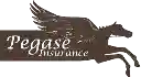 Ogalo a choisi Pegase Insurance comme partenaire pour l'assurance valeur cheval Ogalo a choisi Pegase Insurance comme partenaire pour l'assurance valeur cheval