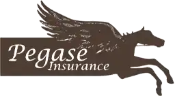 Ogalo a choisi Pegase Insurance comme partenaire pour l'assurance valeur cheval