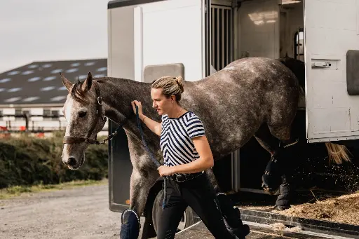Transporteur de chevaux professionnel sur la plateforme Ogalo