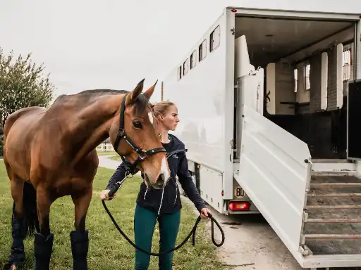 Femme avec son cheval lors d'un transport