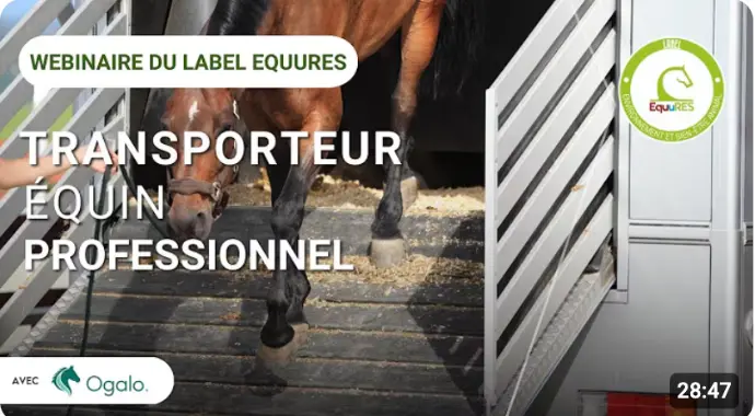 Vignette du webinar : transport équin responsable