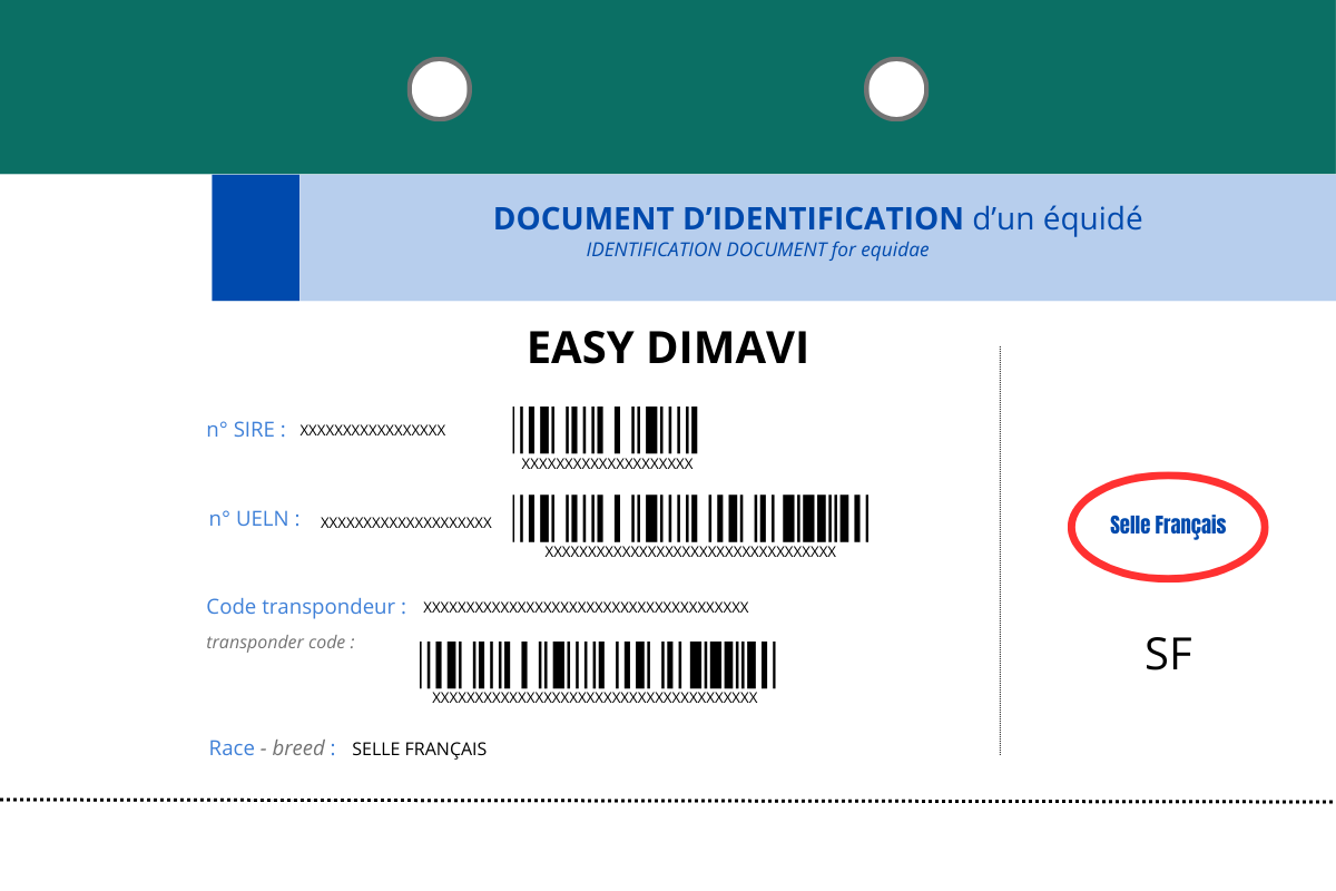 Documents transport chevaux