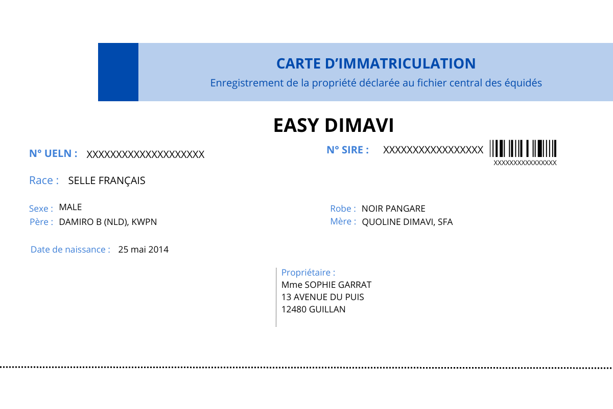 Document de transport pour cheval